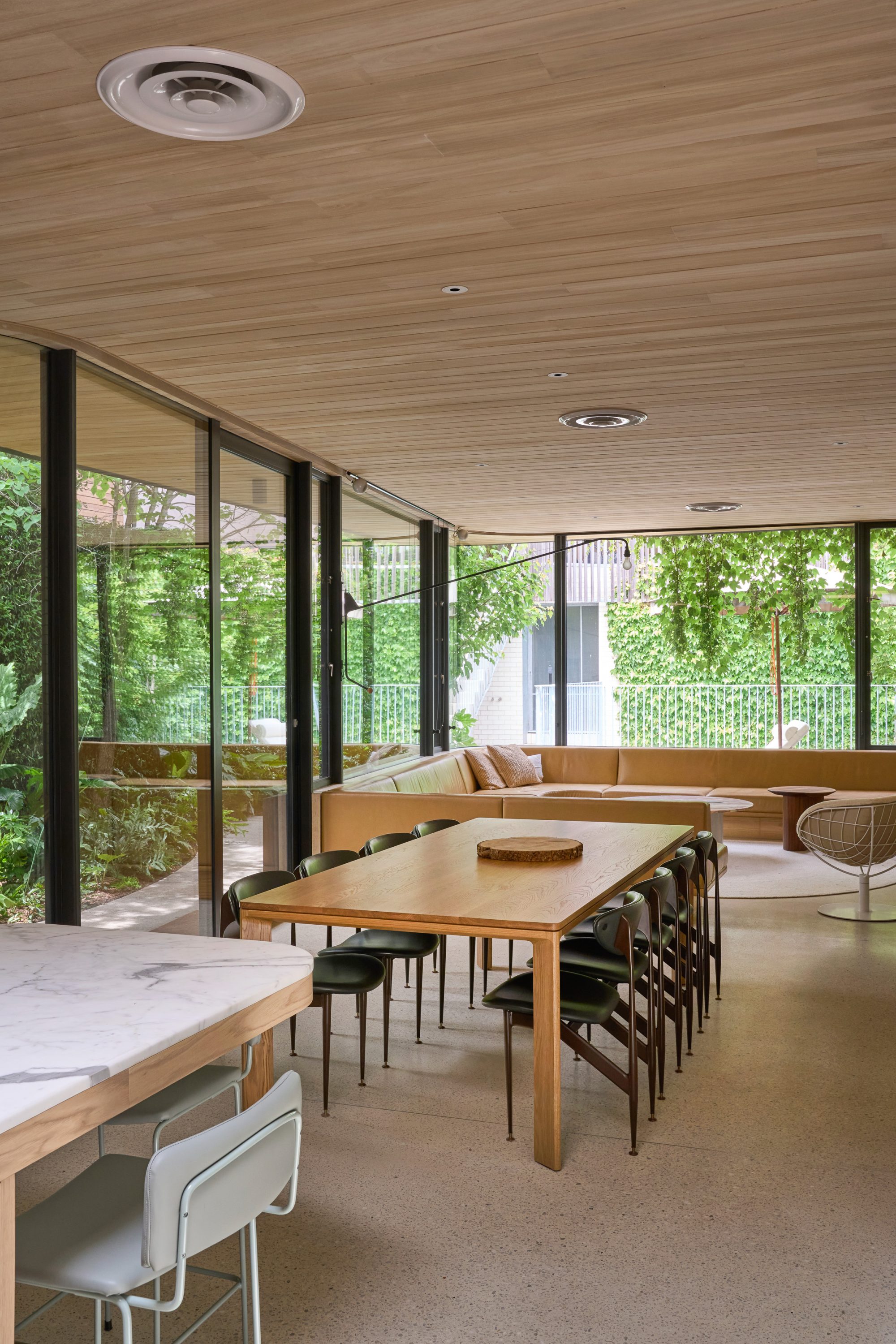Audrey Table in solid American Oak and Featherston scape dining chairs